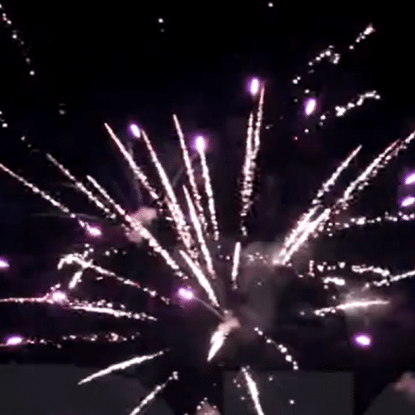 Feu d'artifice ZK PRO 36V tir en éventail Brocade assortie, salve crépitant multicolore