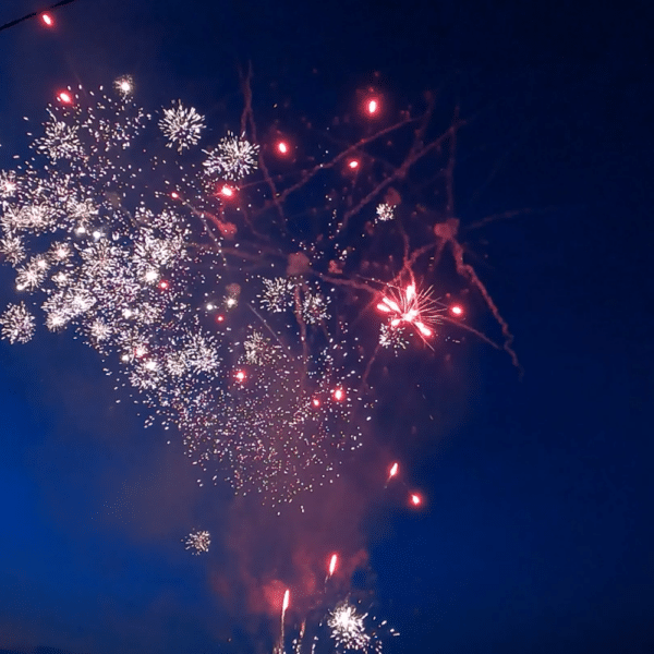 Compact d'artifice éventaillé PRO F3 36 CALCULATOR 36 Départs Z à changement de couleur rouge or crépitement