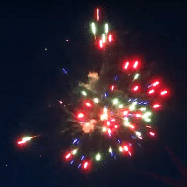 Compact d'artifice PRO F3 Rookie Stars 19 départs effet multicolore